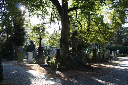 Seelenbretter® von Bali Tollak auf dem Protestantischen Friedhof Augsburg, Bayern, Oktober bis November 2011